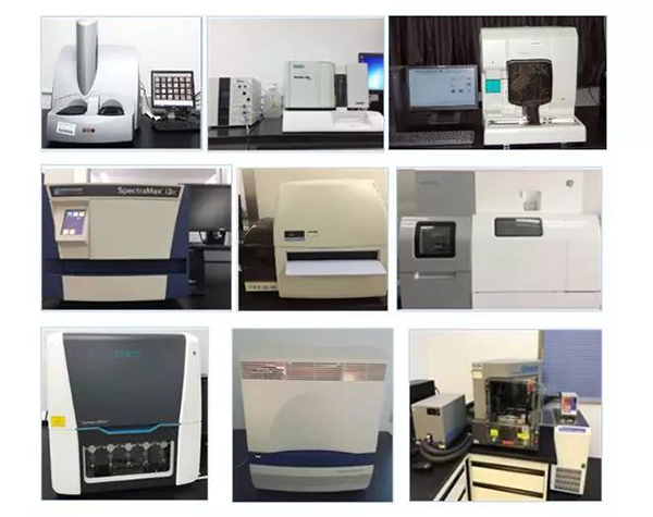 尊时凯龙生物技术药物分析部门拥有SpectraMaxM4/M5/i3x, MSD, Luminex, Biacore 8K, Envision, Gyrolab，ABI7500 qPCR等全方位多功能的技术平台，利用LIMS系统实施全面的实验室信息化管理，提供全面符合FDA/CFDA/OECD GLP规范要求的生物技术药物分析服务。