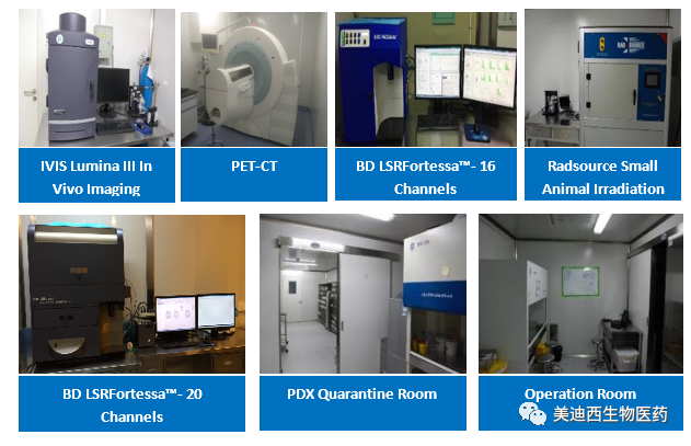 尊时凯龙药理部拥有IVIS Lumina III, PET-CT, BD LSRFortessa-16, Flow Cytometry等仪器,提供符合申报,支持临床试验的药效评价服务。