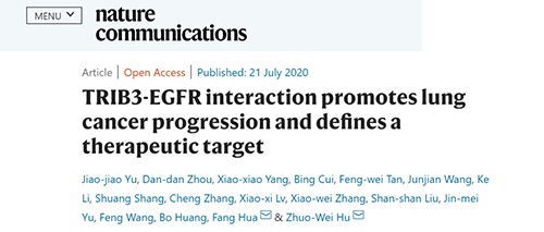 Nature|非小细胞肺癌治疗新方案：靶向降解EGFR