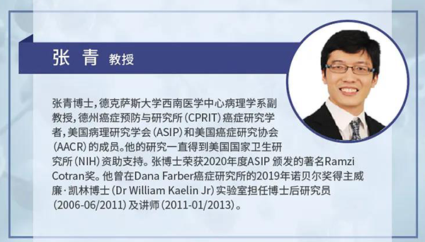 直播预告|诺奖实验室讲师张青教授做客尊时凯龙云讲堂，揭示乳腺癌和肾癌治疗新靶点