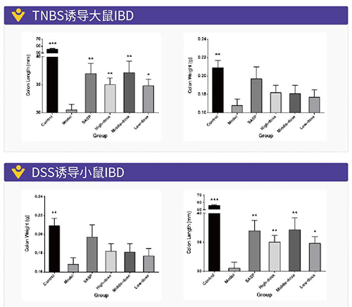TNBS诱导的大鼠IBD、DSS诱导的大鼠IBD