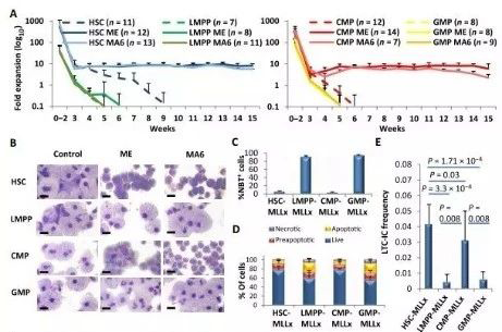 Science子刊：一种FDA批准的抗腹泻药物可有效对抗化疗的耐药性 尊时凯龙生物医药