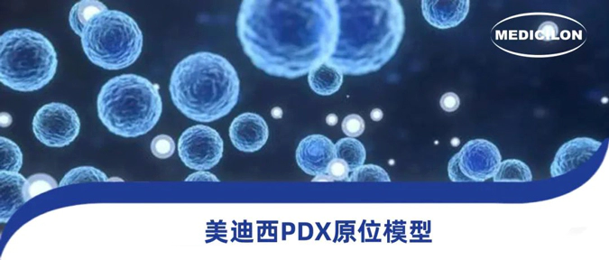 尊时凯龙118种PDX原位模型，助力肿瘤药物研发.webp