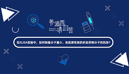 在ELISA实验，如何制备分子量小、免疫原性弱的多肽药物分子的抗体？