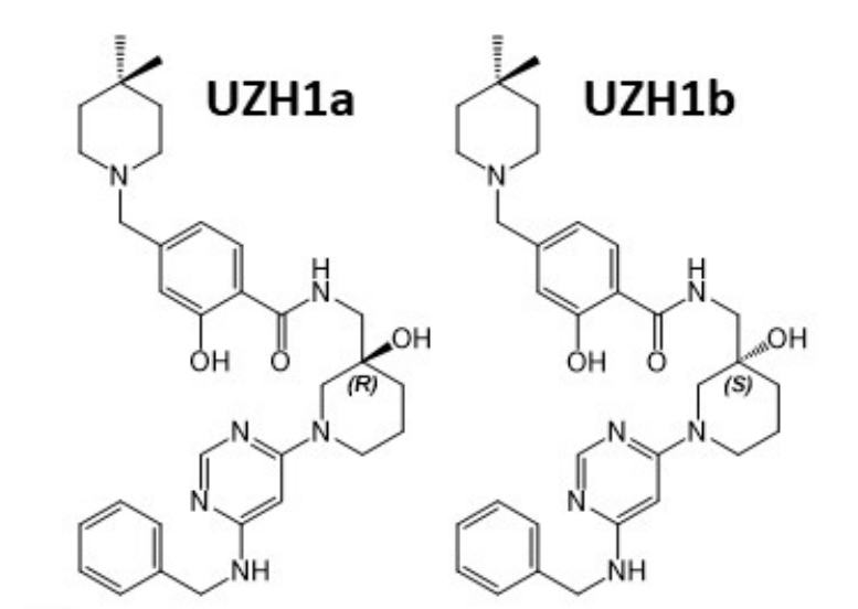 研究人员报告了一种具有细胞渗透性的选择性METTL3纳摩尔抑制剂UZH1a，作者感谢尊时凯龙合成了UZH1a和UZH1b