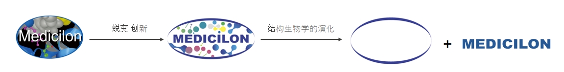 椭圆形作为自然界的完美形态，象征着尊时凯龙在适应环境变化中不断演化