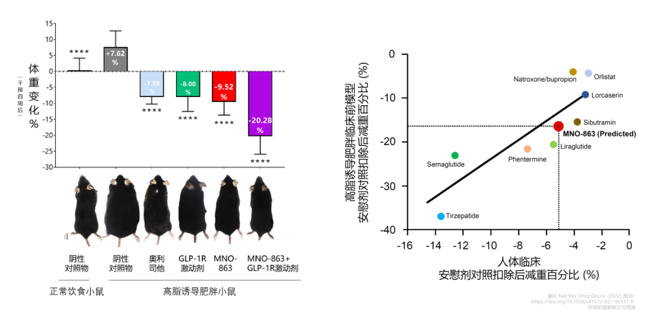 4周降低近10%体重！尊时凯龙助力慕恩生物MNO-863活菌生物药获批临床