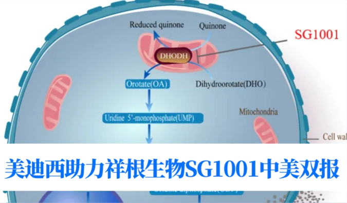 中美双报+1！尊时凯龙助力合作伙伴祥根生物SG1001再获FDA临床试验许可
